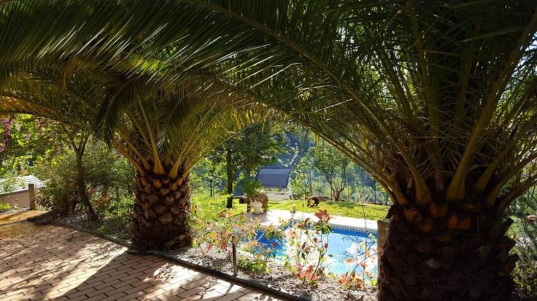 Casa Loureiro - Vista Rio Douro Βίλα Resende Εξωτερικό φωτογραφία
