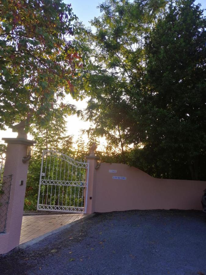 Casa Loureiro - Vista Rio Douro Βίλα Resende Εξωτερικό φωτογραφία
