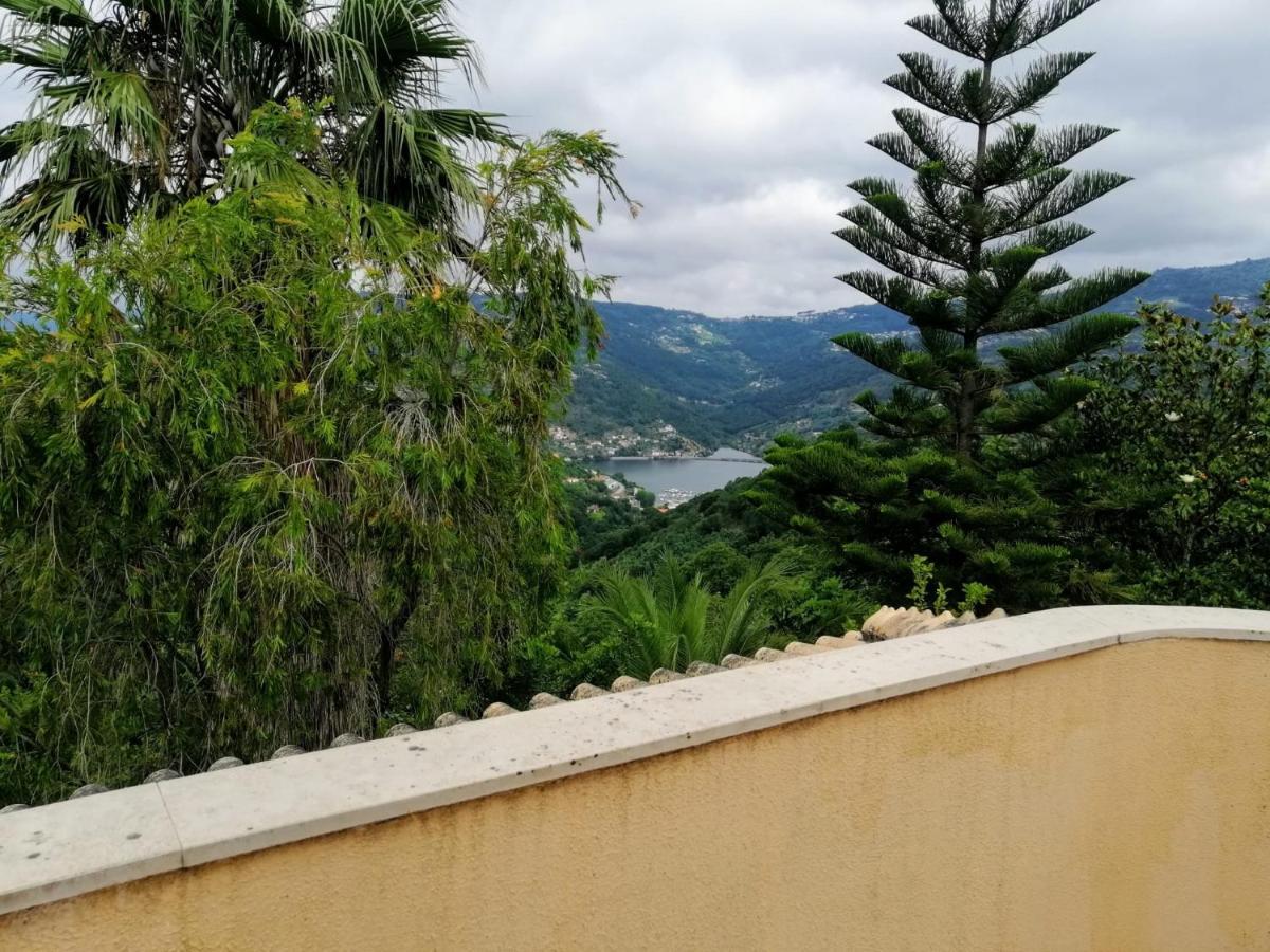 Casa Loureiro - Vista Rio Douro Βίλα Resende Εξωτερικό φωτογραφία