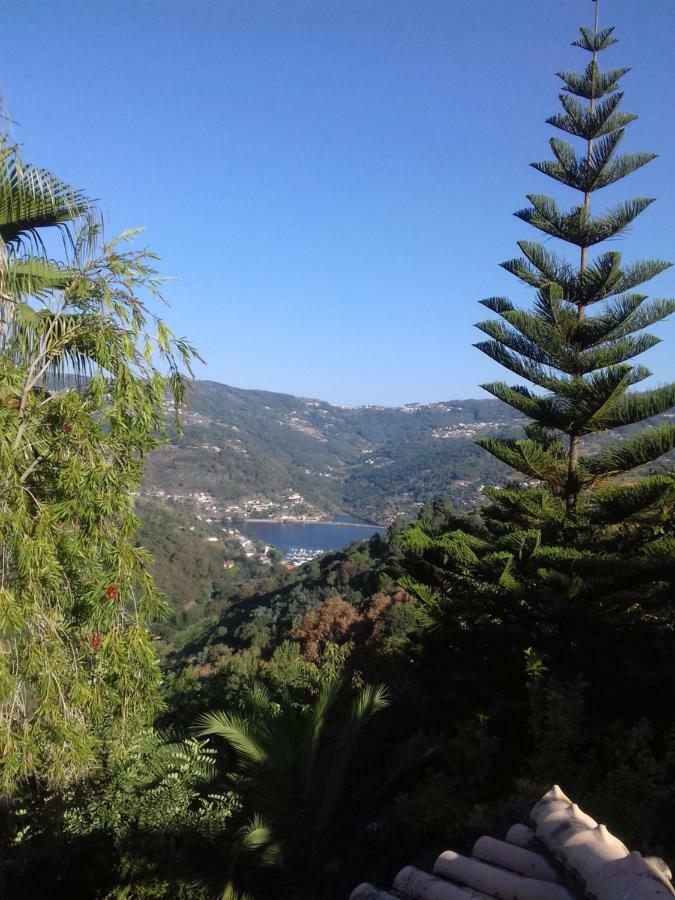 Casa Loureiro - Vista Rio Douro Βίλα Resende Εξωτερικό φωτογραφία